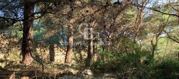 Terrain à Gagliano del Capo, Italy 4550m² No. 63524 8