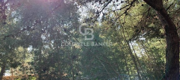 Terrain à Gagliano del Capo, Italy 4550m² No. 63524 11