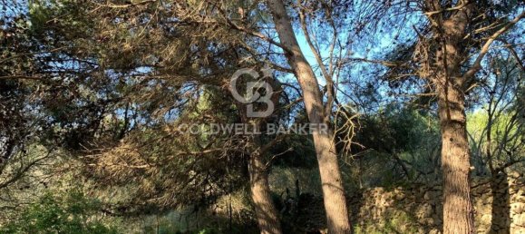 Terrain à Gagliano del Capo, Italy 4550m² No. 63524 12