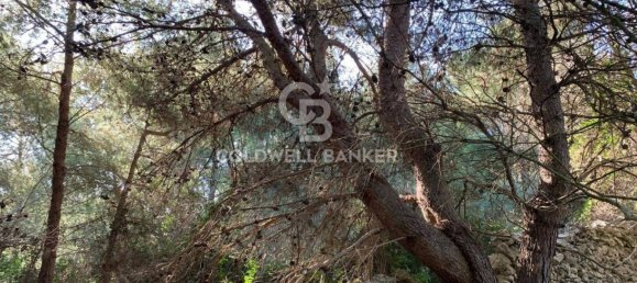 Terrain à Gagliano del Capo, Italy 4550m² No. 63524 7