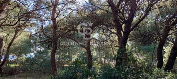 Terrain à Gagliano del Capo, Italy 4550m² No. 63524 10