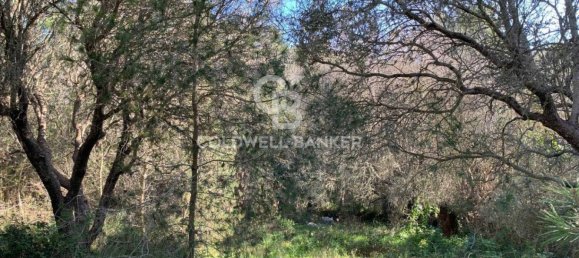 Terrain à Gagliano del Capo, Italy 4550m² No. 63524 3