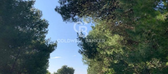 Terrain à Gagliano del Capo, Italy 4550m² No. 63524 2