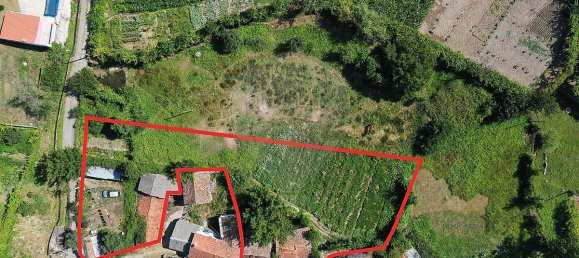 3 chambres Maison à Cinfaes, Portugal No. 17986 21