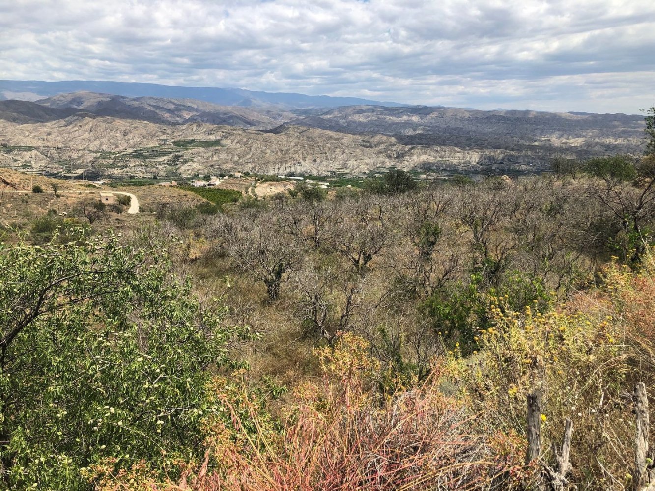  Land in Almeria, Spain No. 199591