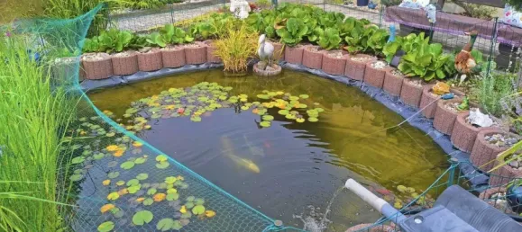 Bungalow T3 em Wittenberg, Germany N.º 337341 15