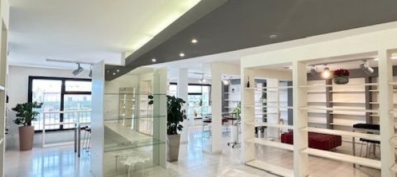 Propiedad comercial de 1 habitación en Noventa Padovana, Italy No. 331987 7