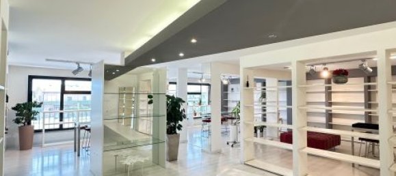 Propiedad comercial de 1 habitación en Noventa Padovana, Italy No. 331987 16