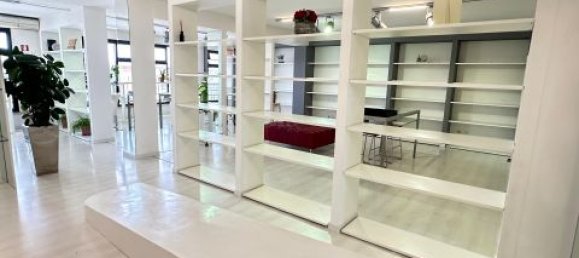 Propiedad comercial de 1 habitación en Noventa Padovana, Italy No. 331987 17