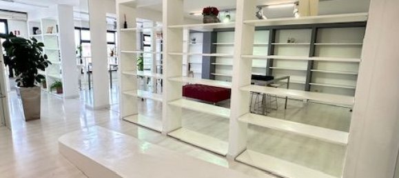 Propiedad comercial de 1 habitación en Noventa Padovana, Italy No. 331987 5