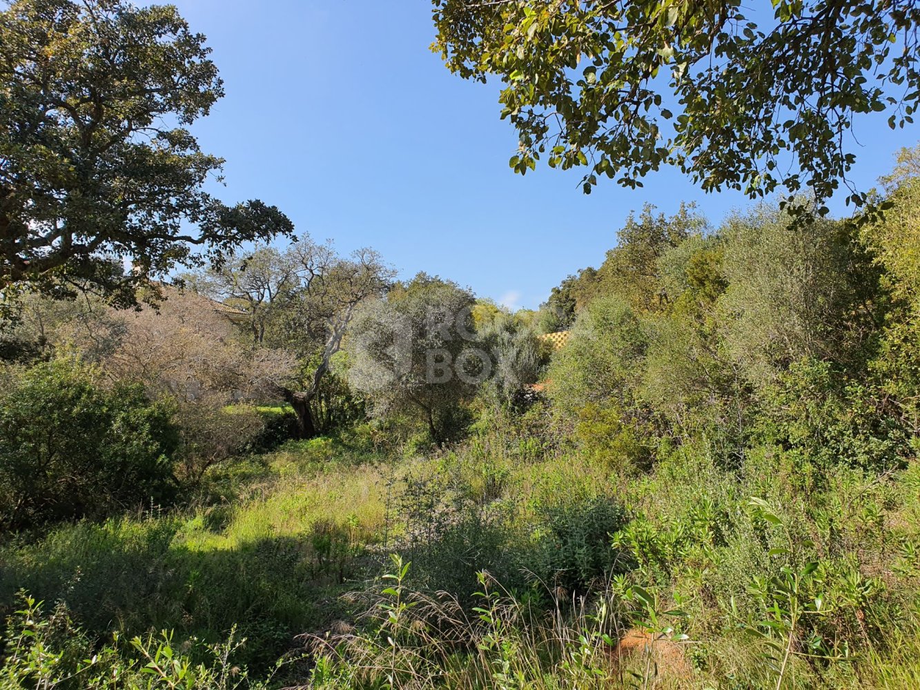 Terreno em Cadiz, Spain N.º 72358