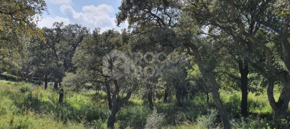 Terreno em Cadiz, Spain N.º 72358 2