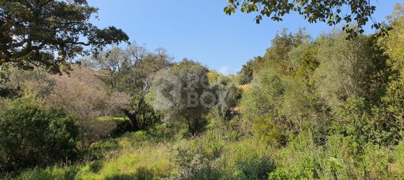 Terreno em Cadiz, Spain N.º 72358 5