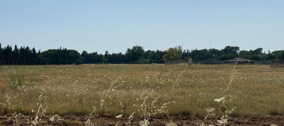  Land in Jerez de la Frontera, Spain No. 145315 5