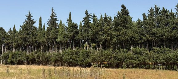  Land in Jerez de la Frontera, Spain No. 145315 4