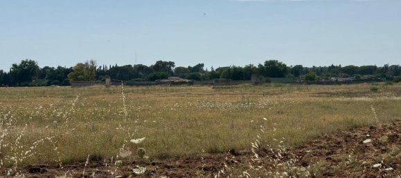  Land in Jerez de la Frontera, Spain No. 145315 6