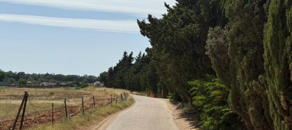  Land in Jerez de la Frontera, Spain No. 145315 8