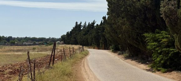  Land in Jerez de la Frontera, Spain No. 145315 7