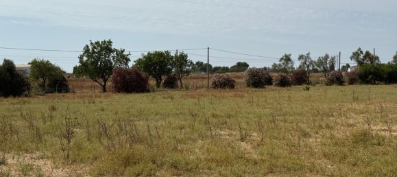  Land in Jerez de la Frontera, Spain No. 145315 3