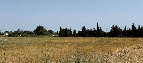  Land in Jerez de la Frontera, Spain No. 145315 2