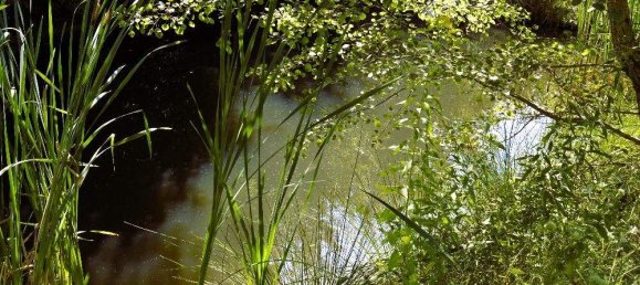 5غرفة منزل في Stegersbach, Austria رقم 138171 13