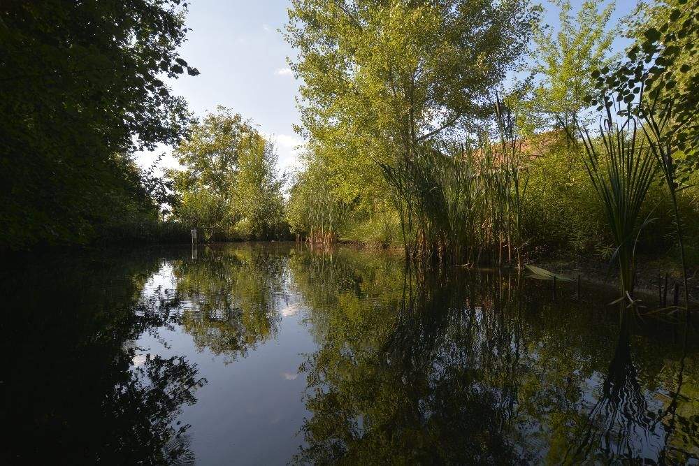 5غرفة منزل في Stegersbach, Austria رقم 138171