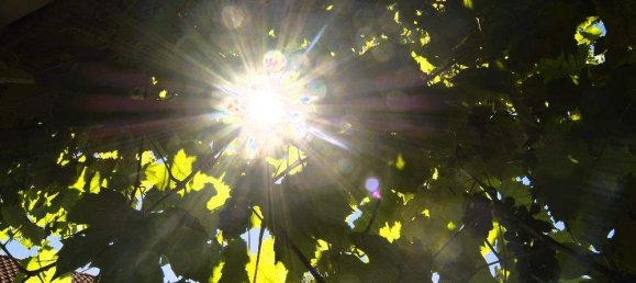 5غرفة منزل في Stegersbach, Austria رقم 138171 10