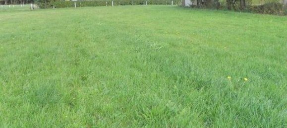 Таунхаус с 9 спальнями в Leer, Германия № 212015 5