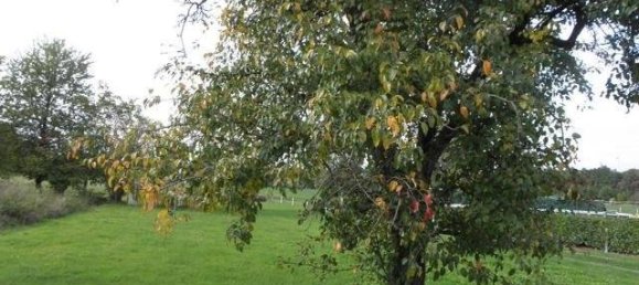 Таунхаус с 9 спальнями в Leer, Германия № 212015 2