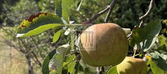 6غرفة تاون هاوس في Oberspreewald-Lausitz, Germany رقم 370081 7