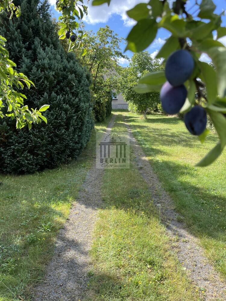 6غرفة تاون هاوس في Oberspreewald-Lausitz, Germany رقم 370081