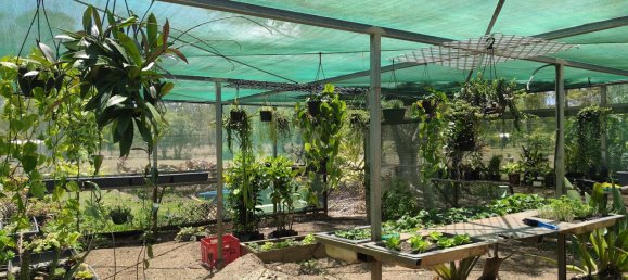 2 chambres Ferme à Millstream, Australia No. 45 19