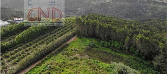 4 bedrooms House in Mafra, Portugal No. 56547 36