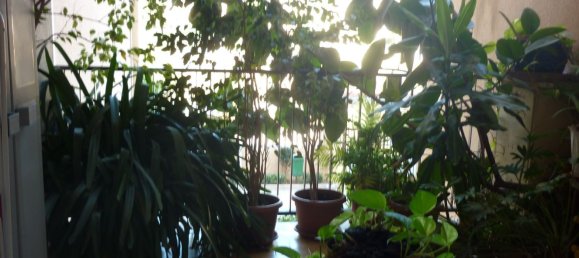 4-Zimmer Wohnung in Trapani, Italy, Nr. 268857 14