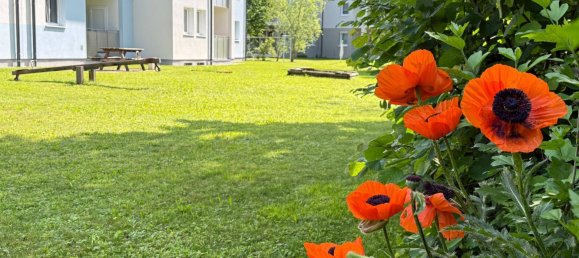 1 chambre Appartement à Kematen an der Ybbs, Austria No. 126412 23