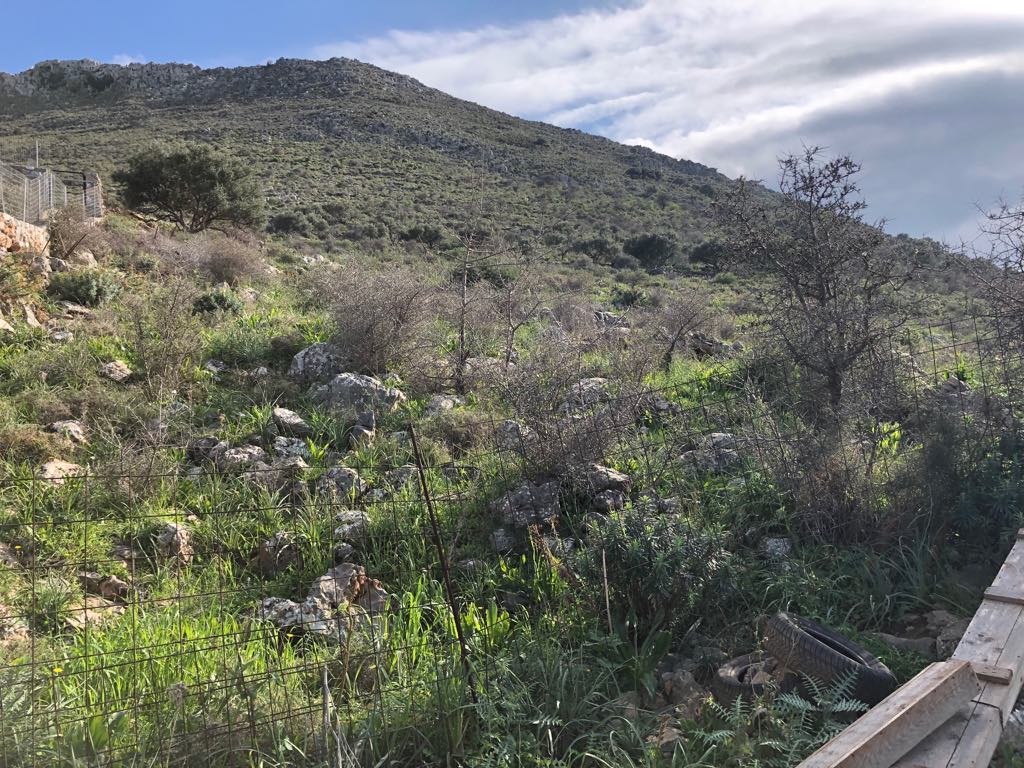 18000m² Hotel in Vamos, Greece No. 5193