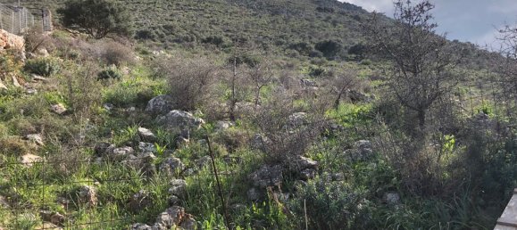 18000 m² hotel en venta en Vamos, Apokoronas, Chania, Crete, Greece № 5193 4