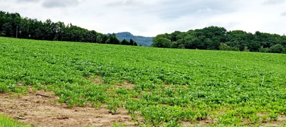 Terreno en Hafnerbach, Austria No. 134133 4