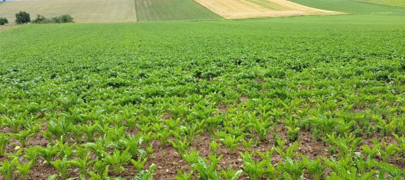 Terreno en Hafnerbach, Austria No. 134133 3