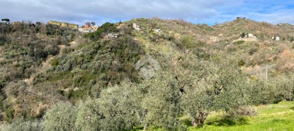 Дом с 3 комнатами в Олевано Романо, Италия № 47740 17