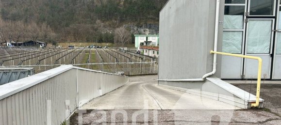 4غرفة مستودع في Trentino-Alto Adige, Italy رقم 52243 7