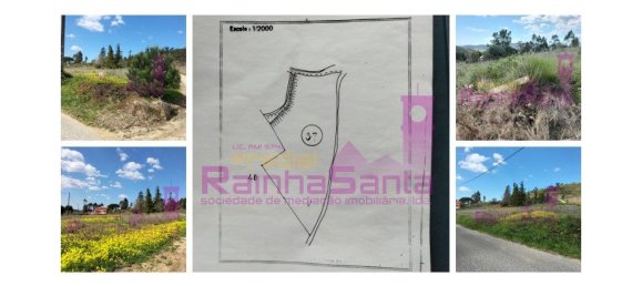 103120m² Land in Torres Vedras, Portugal No. 144634 5