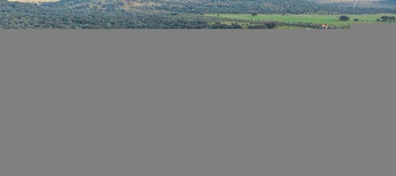 1 Schlafzimmer Haus in Estremoz, Portugal, Nr. 27933 2