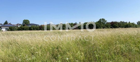  قطعة أرض في Marchtrenk, Austria رقم 213592 4