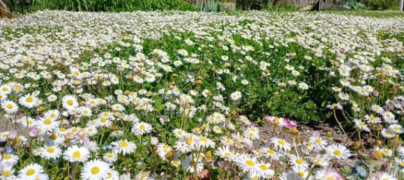 3 chambres Villa à Ain, France No. 312442 17