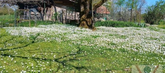 3 chambres Villa à Ain, France No. 312442 16