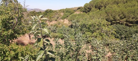 3 chambres Maison à Alenquer, Portugal No. 71796 30