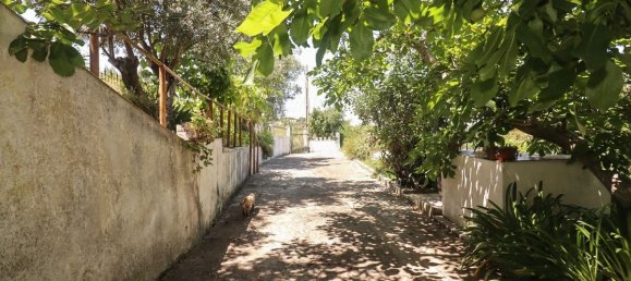 3 chambres Maison à Alenquer, Portugal No. 71796 28