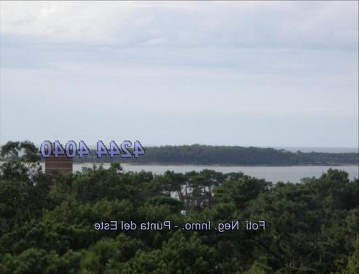 2 غرف نوم شقة في Punta del Este, Uruguay رقم 8098