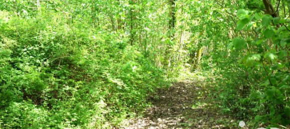 4 bedrooms House in Givenchy-en-Gohelle, France No. 71877 12